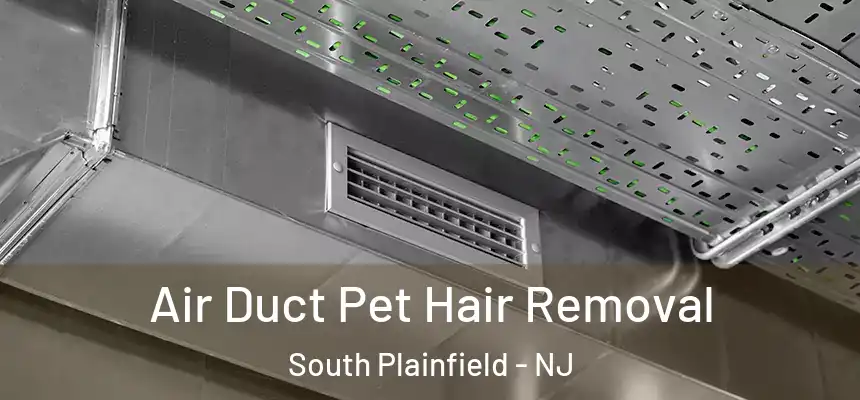 Air Duct Pet Hair Removal South Plainfield - NJ