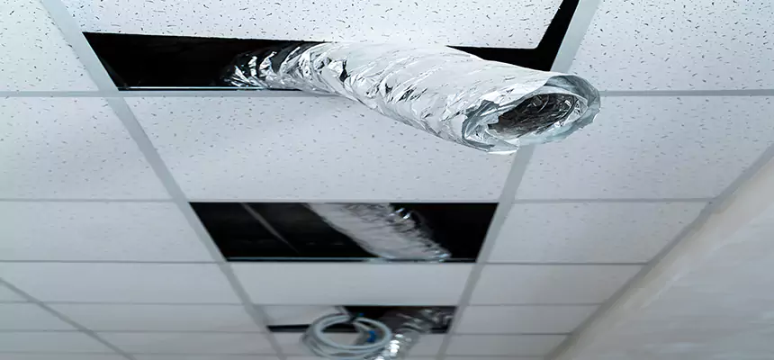 Affordable HVAC Sanitizing After Pest Removal in South Plainfield