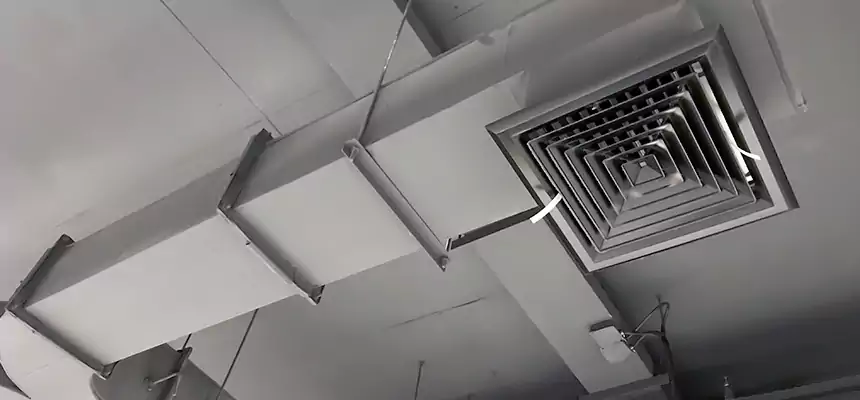 Restorative Allergy Relief Vent Cleaning – Coil, Blower & Housing Detail in South Plainfield