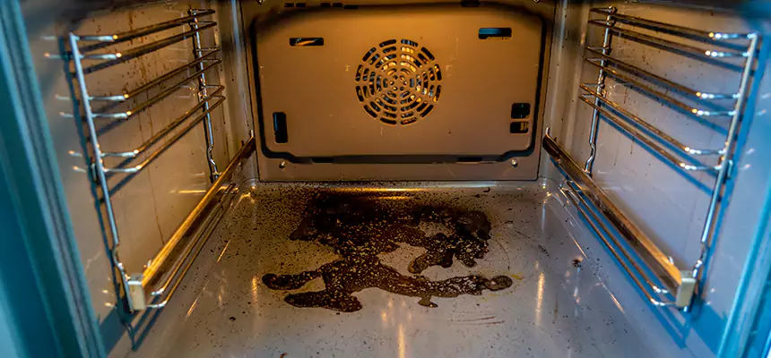 Our Dryer Vent Mold Cleaning Services in South Plainfield, NJ