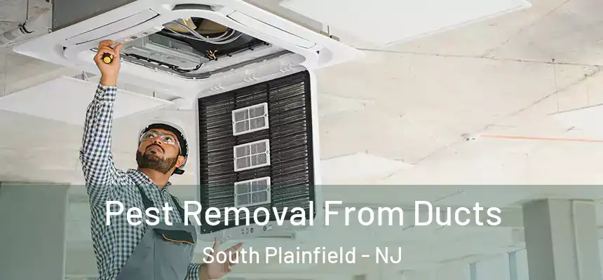  Pest Removal From Ducts South Plainfield - NJ