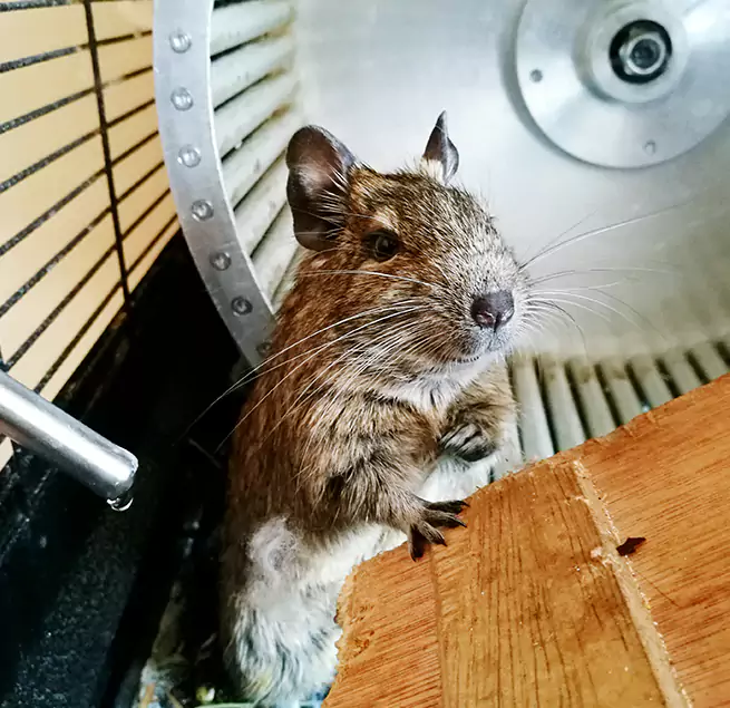 Why Homeowners & Businesses Trust Us South Plainfield, NJ?