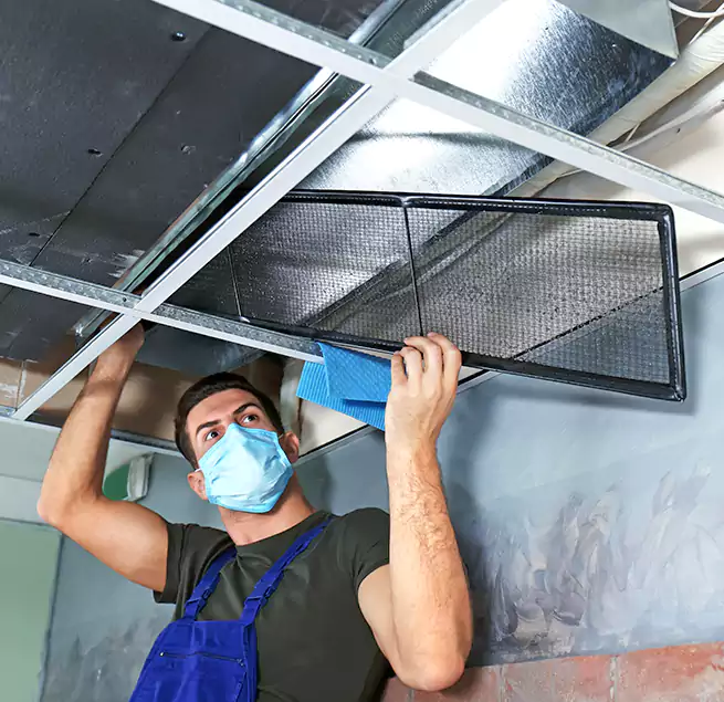 Why Homeowners Businesses Trust Us in South Plainfield, NJ